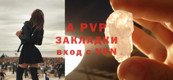 крисы Абаза