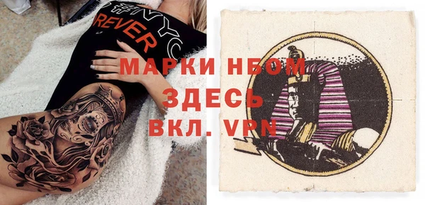крисы Абаза
