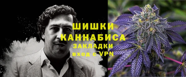крисы Абаза