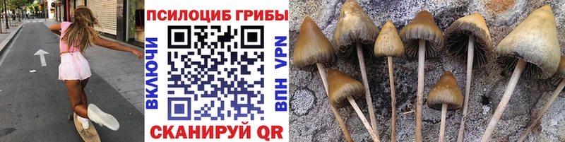 хочу наркоту  Кириллов  Галлюциногенные грибы прущие грибы 